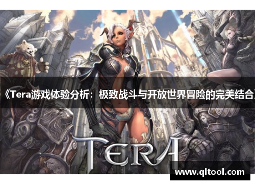 《Tera游戏体验分析：极致战斗与开放世界冒险的完美结合》