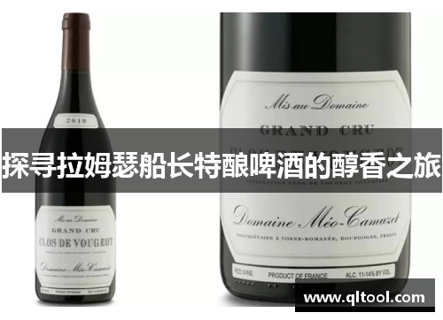 探寻拉姆瑟船长特酿啤酒的醇香之旅