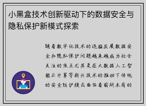 小黑盒技术创新驱动下的数据安全与隐私保护新模式探索